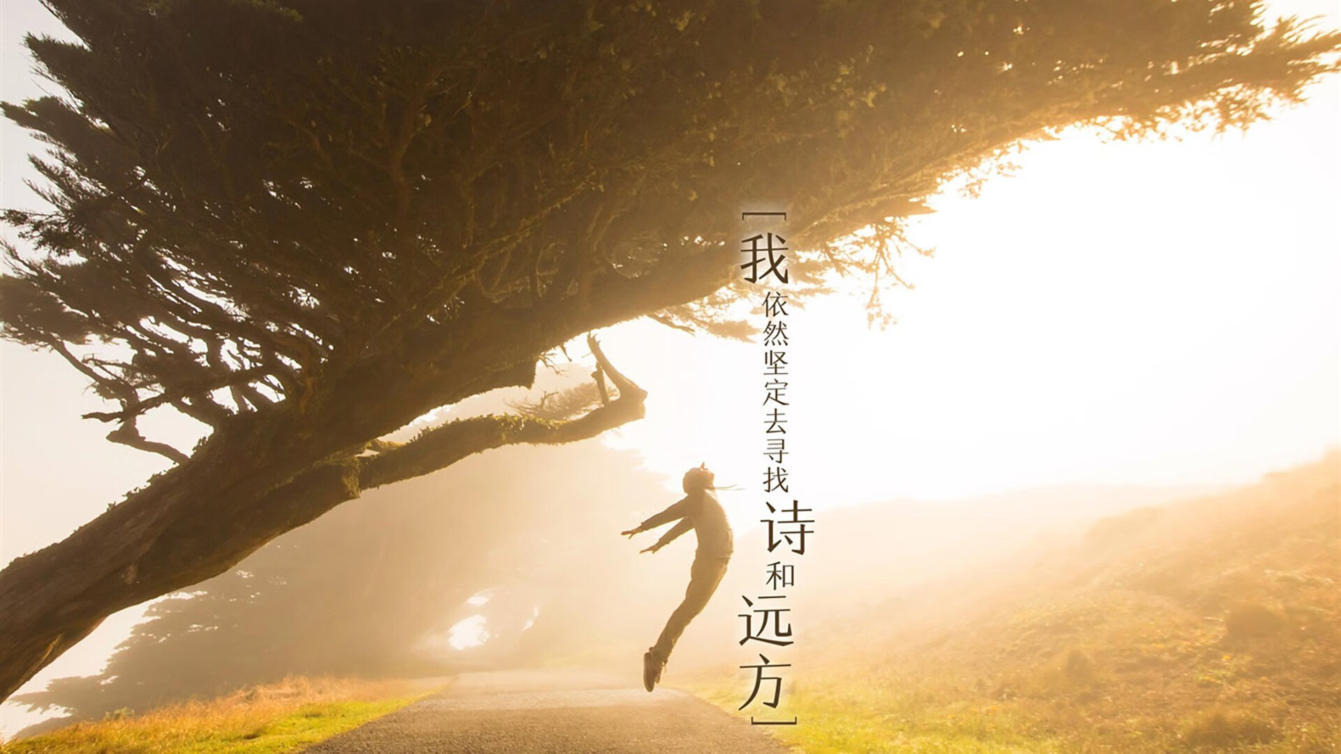 荷兰女足在预选赛中仅获3分，排名第三，荷兰女足在预选赛中仅获3分,排名第三的是谁