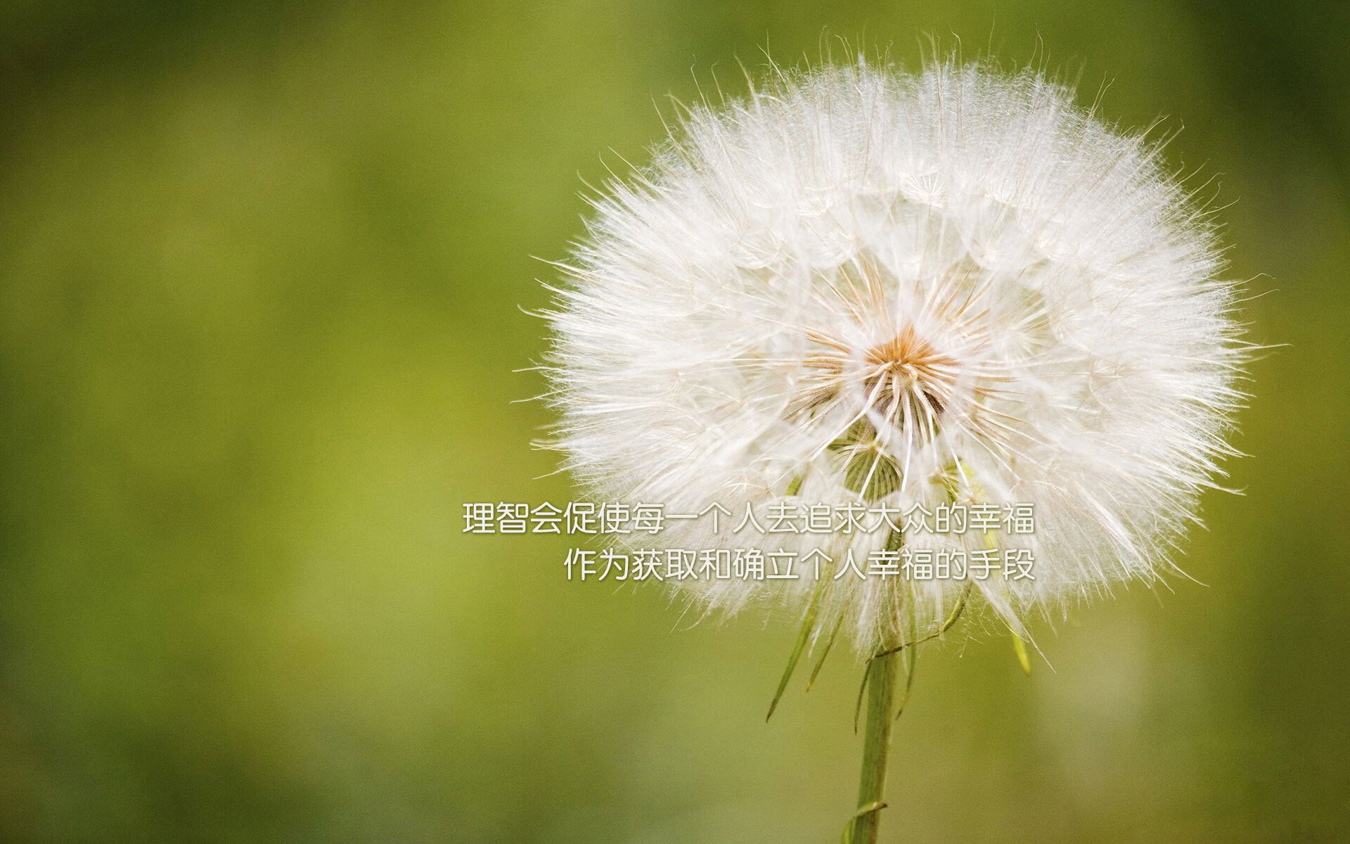 狼队客场全胜，英超联赛前景一片光明，英超狼队是什么水平