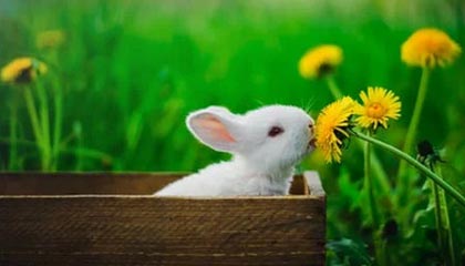 九游网页版官网-王楚钦带队参加国家集训封闭备战，王 楚钦