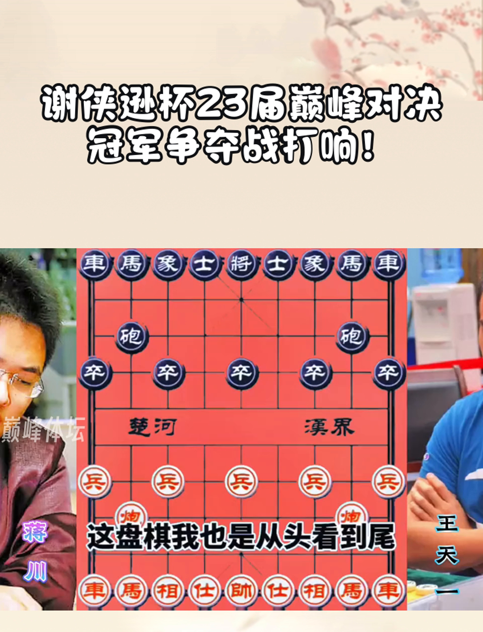 终极决战：总冠军争夺战的巅峰对决的简单介绍