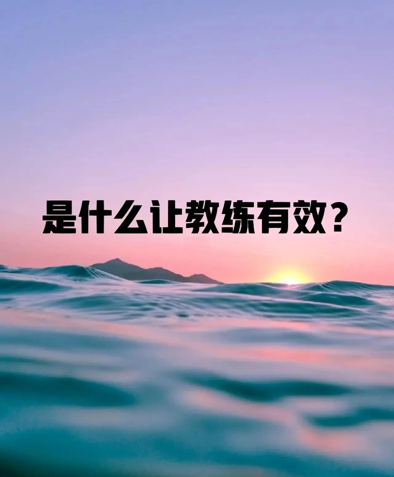 包含顶尖教练揭秘：带队夺冠的战术秘密的词条