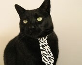 九游下载官网-地方篮协启动少年篮球观察计划储备优秀后备力量，篮球观察记录