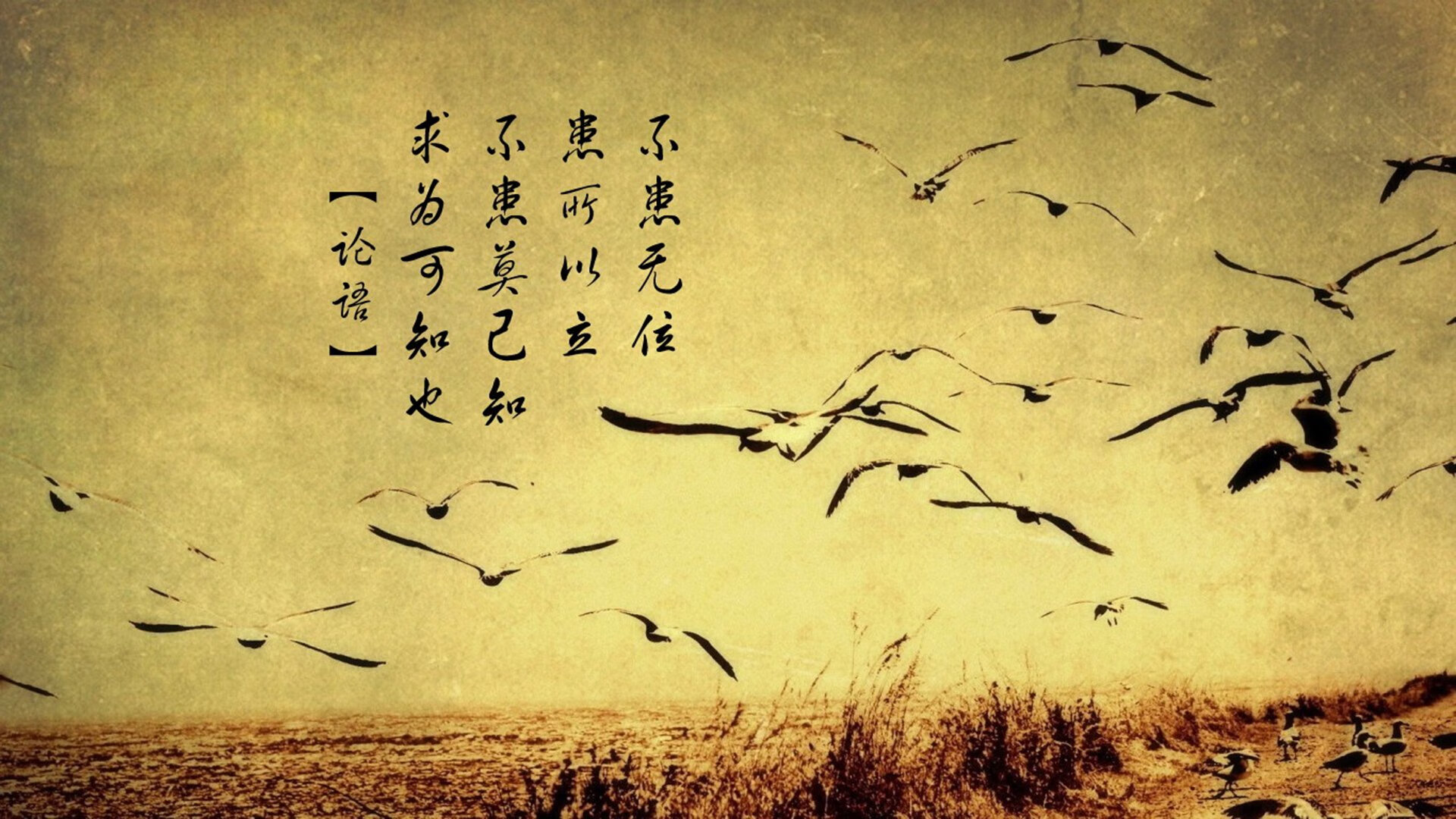 九游app下载中心-法国橄榄球重回巅峰：新一代球员引领未来，法国橄榄球厉害吗