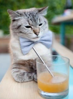 九游官网pc-混合泳个人赛中立代表队A选手全面发挥，个人混合泳比赛中