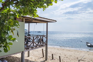 九游-绿色场馆覆盖智能环保系统，推动全球体育绿色低碳行动，绿色场馆建设